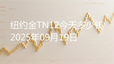 纽约金TN12今天多少钱2025年09月19日
