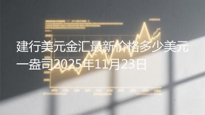 建行美元金汇最新价格多少美元一盎司2025年11月23日