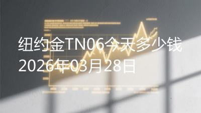 纽约金TN06今天多少钱2026年03月28日