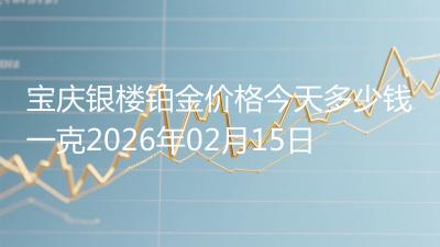 宝庆银楼铂金价格今天多少钱一克2026年02月15日