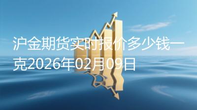 沪金期货实时报价多少钱一克2026年02月09日