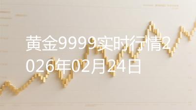 黄金9999实时行情2026年02月24日