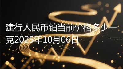 建行人民币铂当前价格多少一克2025年10月06日
