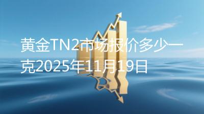 黄金TN2市场报价多少一克2025年11月19日