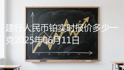 建行人民币铂实时报价多少一克2025年06月11日