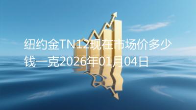 纽约金TN12现在市场价多少钱一克2026年01月04日