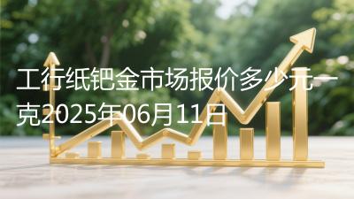 工行纸钯金市场报价多少元一克2025年06月11日