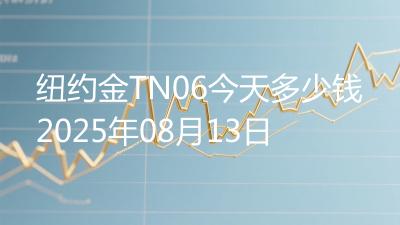纽约金TN06今天多少钱2025年08月13日