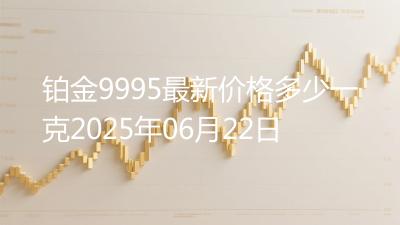 铂金9995最新价格多少一克2025年06月22日
