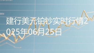 建行美元铂钞实时行情2025年06月25日