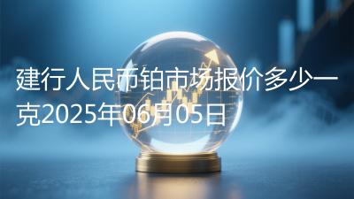 建行人民币铂市场报价多少一克2025年06月05日