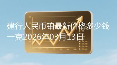 建行人民币铂最新价格多少钱一克2026年03月13日