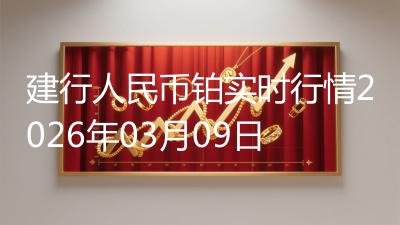 建行人民币铂实时行情2026年03月09日