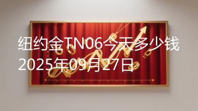 纽约金TN06今天多少钱2025年09月27日