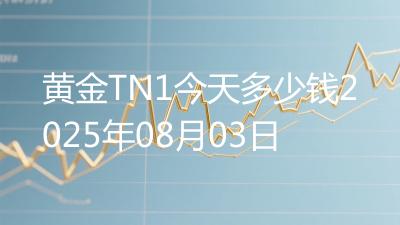 黄金TN1今天多少钱2025年08月03日