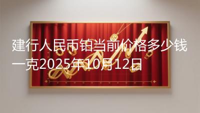 建行人民币铂当前价格多少钱一克2025年10月12日