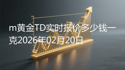m黄金TD实时报价多少钱一克2026年02月20日