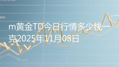 m黄金TD今日行情多少钱一克2025年11月08日