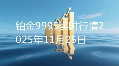 铂金9995实时行情2025年11月25日