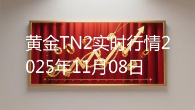 黄金TN2实时行情2025年11月08日