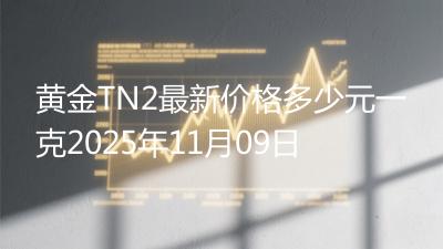 黄金TN2最新价格多少元一克2025年11月09日