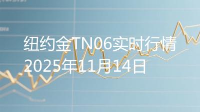 纽约金TN06实时行情2025年11月14日