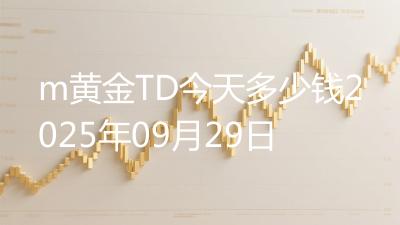 m黄金TD今天多少钱2025年09月29日