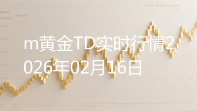 m黄金TD实时行情2026年02月16日