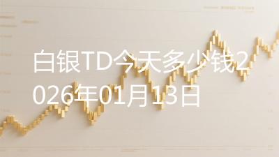 白银TD今天多少钱2026年01月13日