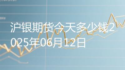 沪银期货今天多少钱2025年06月12日