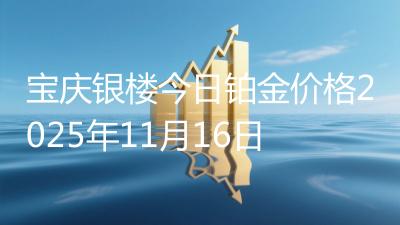 宝庆银楼今日铂金价格2025年11月16日