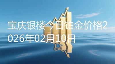 宝庆银楼今日铂金价格2026年02月10日