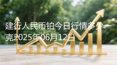 建行人民币铂今日行情多少一克2025年06月12日