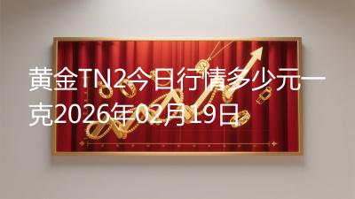 黄金TN2今日行情多少元一克2026年02月19日