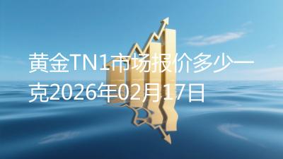 黄金TN1市场报价多少一克2026年02月17日