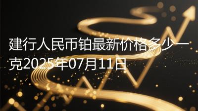 建行人民币铂最新价格多少一克2025年07月11日