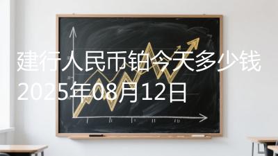 建行人民币铂今天多少钱2025年08月12日