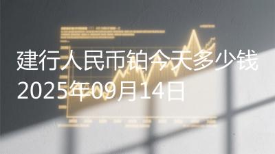 建行人民币铂今天多少钱2025年09月14日