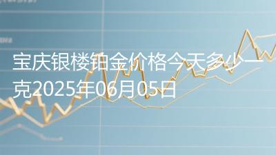 宝庆银楼铂金价格今天多少一克2025年06月05日