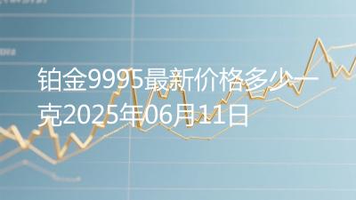 铂金9995最新价格多少一克2025年06月11日