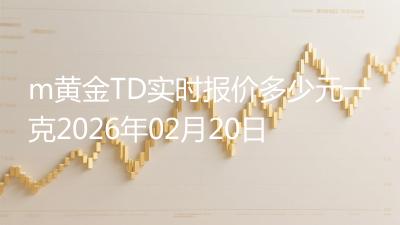 m黄金TD实时报价多少元一克2026年02月20日