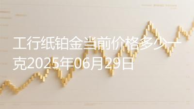 工行纸铂金当前价格多少一克2025年06月29日