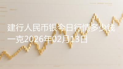 建行人民币银今日行情多少钱一克2026年02月13日