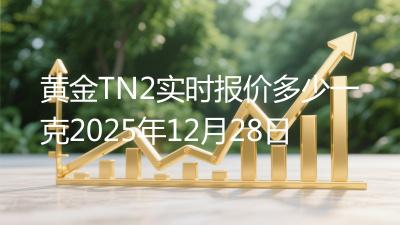 黄金TN2实时报价多少一克2025年12月28日