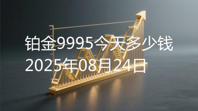 铂金9995今天多少钱2025年08月24日