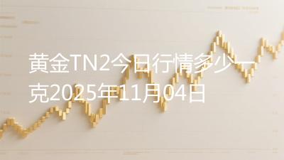 黄金TN2今日行情多少一克2025年11月04日