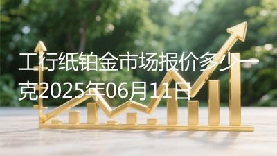 工行纸铂金市场报价多少一克2025年06月11日