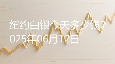 纽约白银今天多少钱2025年06月12日