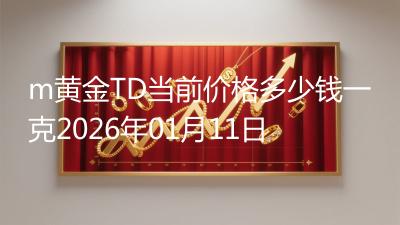 m黄金TD当前价格多少钱一克2026年01月11日