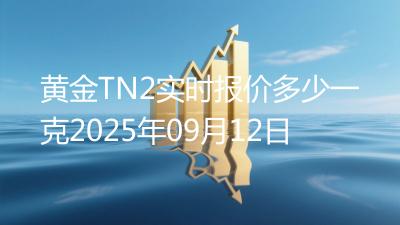 黄金TN2实时报价多少一克2025年09月12日